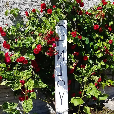 Sunny Зандфорт